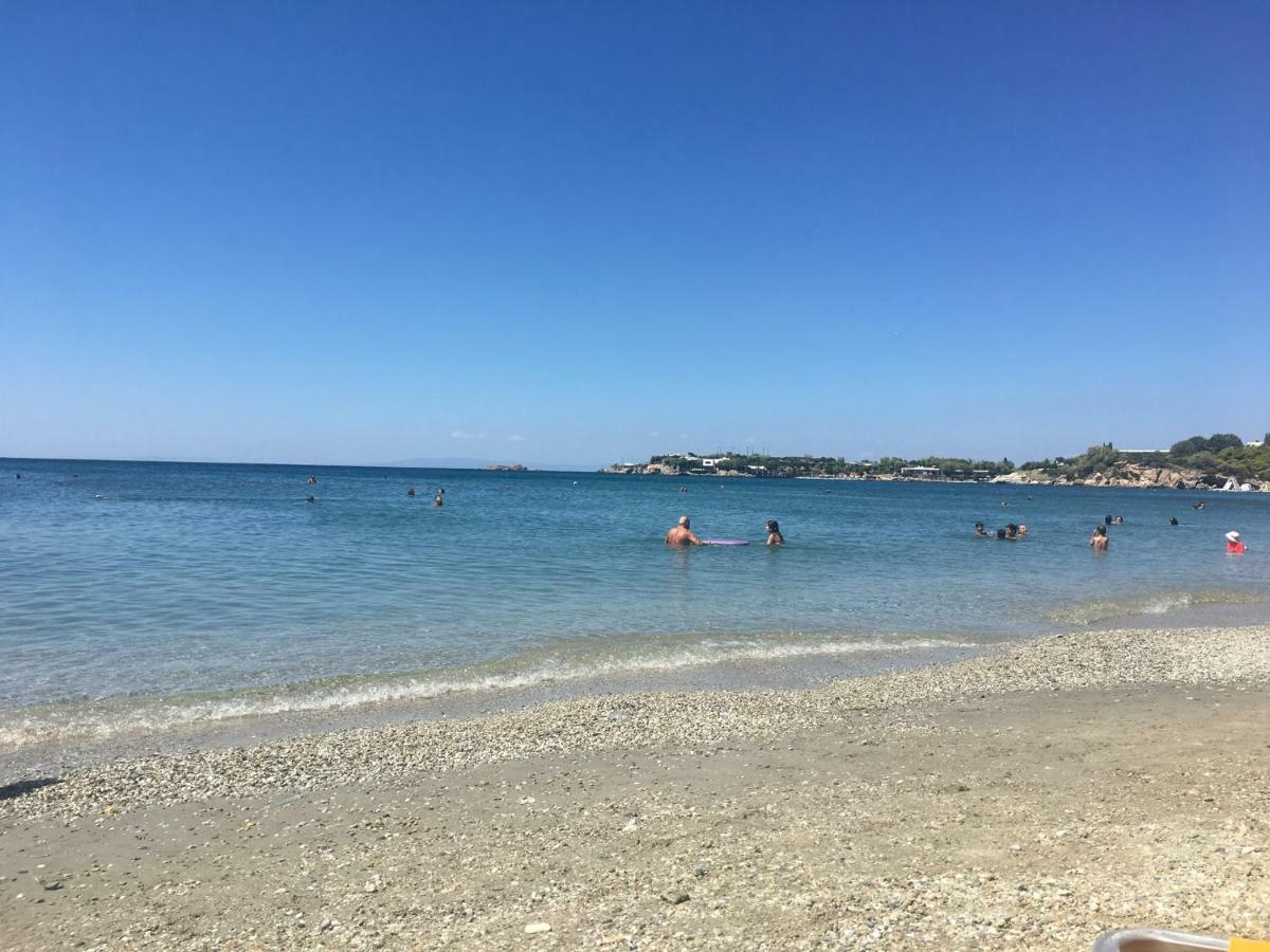 Villa Christina With Private Pool In Saronida, Near Stunning Beaches, Athens Airport & Sounio Екстериор снимка